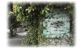 Front gate to the Anoakia Estate.